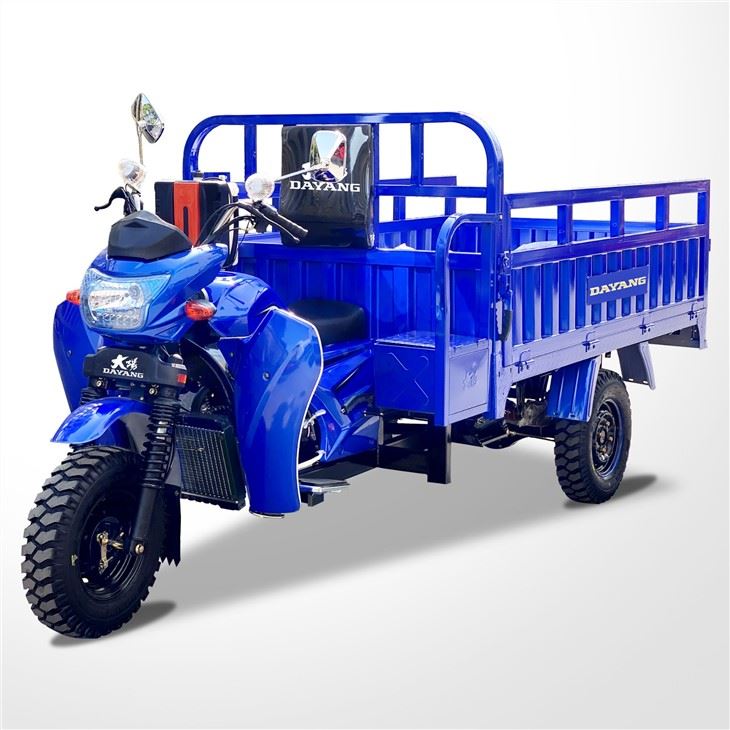 300cc Cargo Tricycle With Mudguard