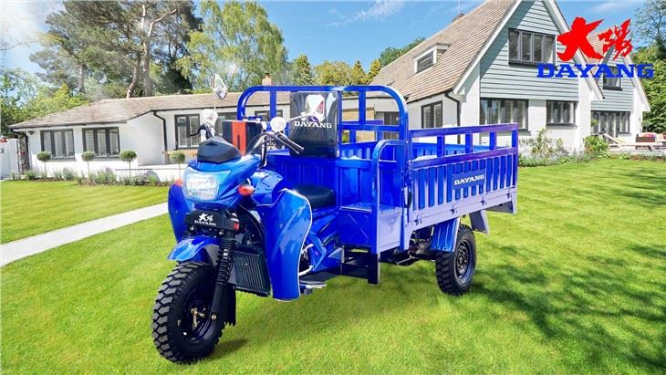 300cc Cargo Tricycle With Mudguard