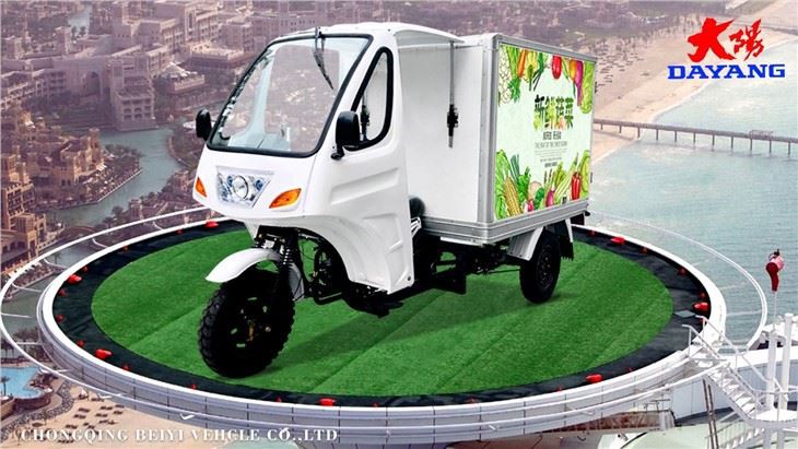 Enclosed Van Cargo Tricycle Truck