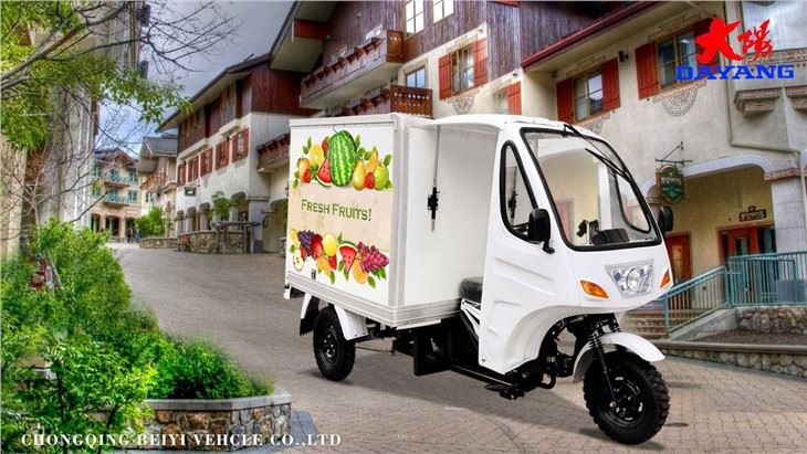 Enclosed Van Cargo Tricycle Truck