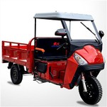 Üç Tekerlekli Bisiklet Motorları Şirketi 200 Cc