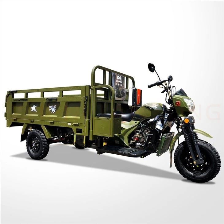 300cc Three Wheels Moto Carga
