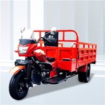 300cc Üç Tekerlekli Motorlu Damper