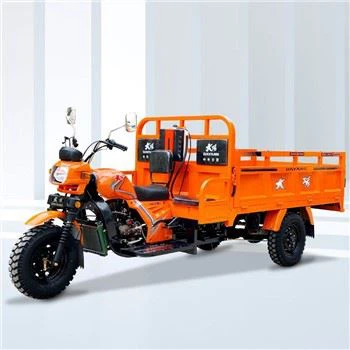 Üç Moto Kargo Üç Tekerlekli Bisiklet