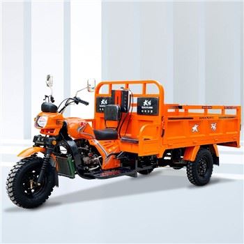 Üç Tekerlekli Bisiklet Motorizado De Kargo