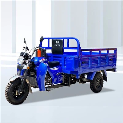 150cc Üç Tekerlekli Bisiklet Motosiklet Diğer Üç Tekerlekli Bisikletler