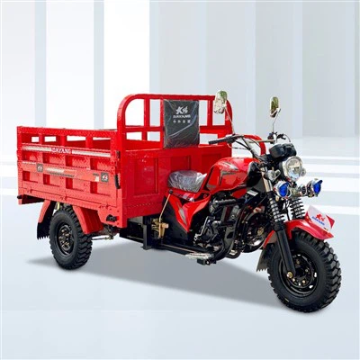 Kargo Motorlu Üç Tekerlekli Bisiklet Üç Tekerlekli Bisiklet